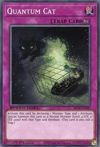 Quantum Cat [SBCB-EN200] Common - Josh's Cards