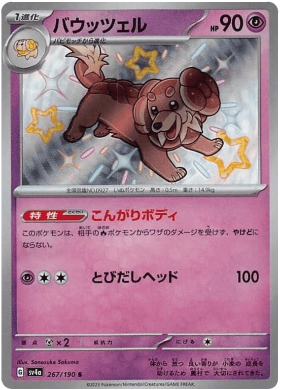 Dachsbun (267/190) [Shiny Treasure ex] - Josh's Cards