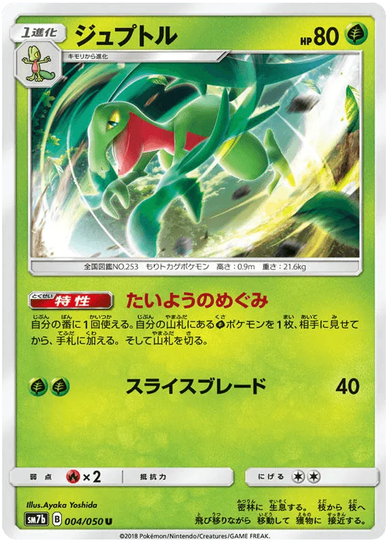 Grovyle (004/050) [Fairy Rise] - Josh's Cards