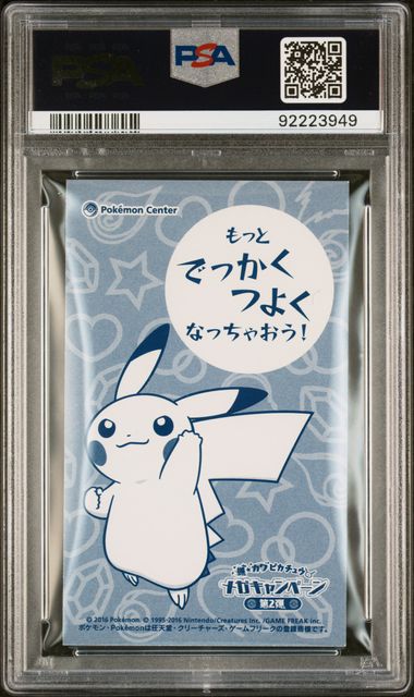 Poncho Wearing Pikachu Mega Charizard X Business Card PSA 8