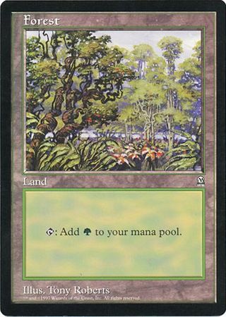 Forest (Oversized) [Oversize Cards] Foil