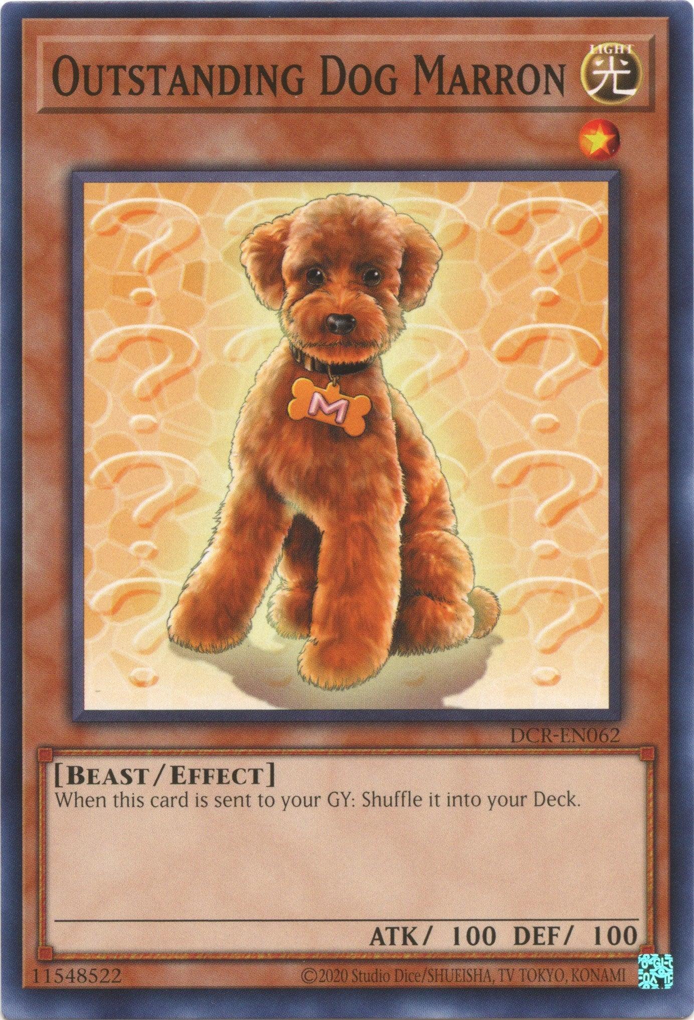 Outstanding Dog Marron (25th Anniversary) [DCR-EN062] Common - Josh's Cards