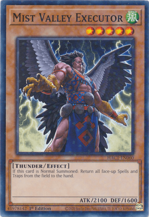 Mist Valley Executor (Duel Terminal) [HAC1-EN060] Common - Josh's Cards