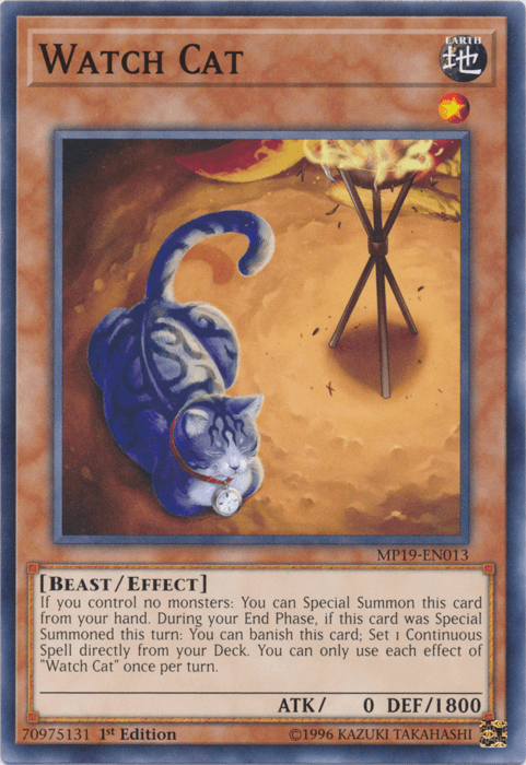 Watch Cat [MP19-EN013] Common - Josh's Cards