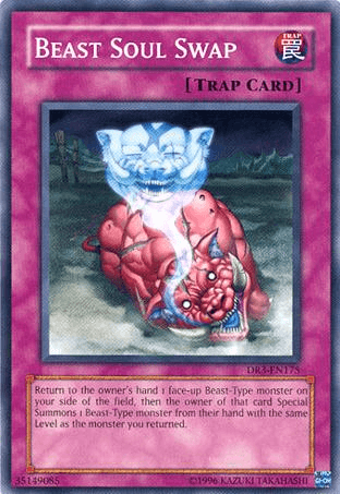 Beast Soul Swap [DR3-EN175] Common - Josh's Cards