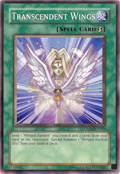 Transcendent Wings [DR04-EN045] Common - Josh's Cards