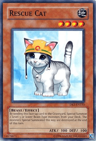 Rescue Cat [DR3-EN153] Common - Josh's Cards