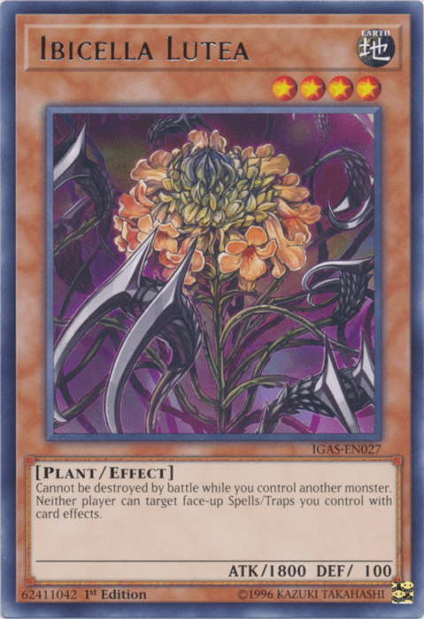 Ibicella Lutea [IGAS-EN027] Rare - Josh's Cards