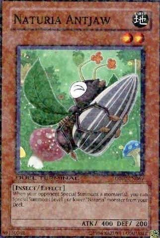 Naturia Antjaw [DT02-EN069] Common - Josh's Cards