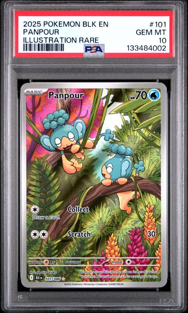 Panpour Black Bolt 101/086 PSA 10