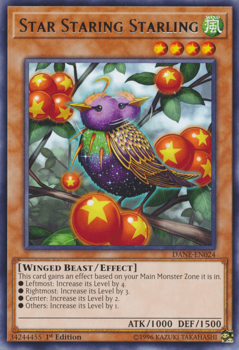 Star Staring Starling [DANE-EN024] Rare - Josh's Cards
