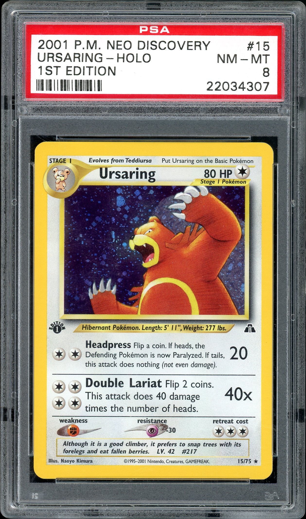 Ursaring 1st Edition Holofoil Neo Discovery 15/75 PSA 8