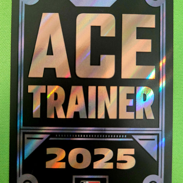 Pokémon Celebratory Fanfare Ace Trainer Insert Card Promo 2025 English