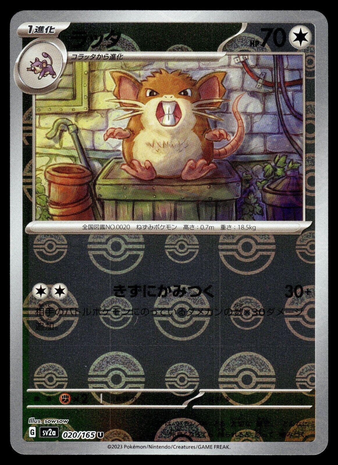 Raticate Reverse Holo (020/165) [Japanese Pokemon 151] - Josh's Cards