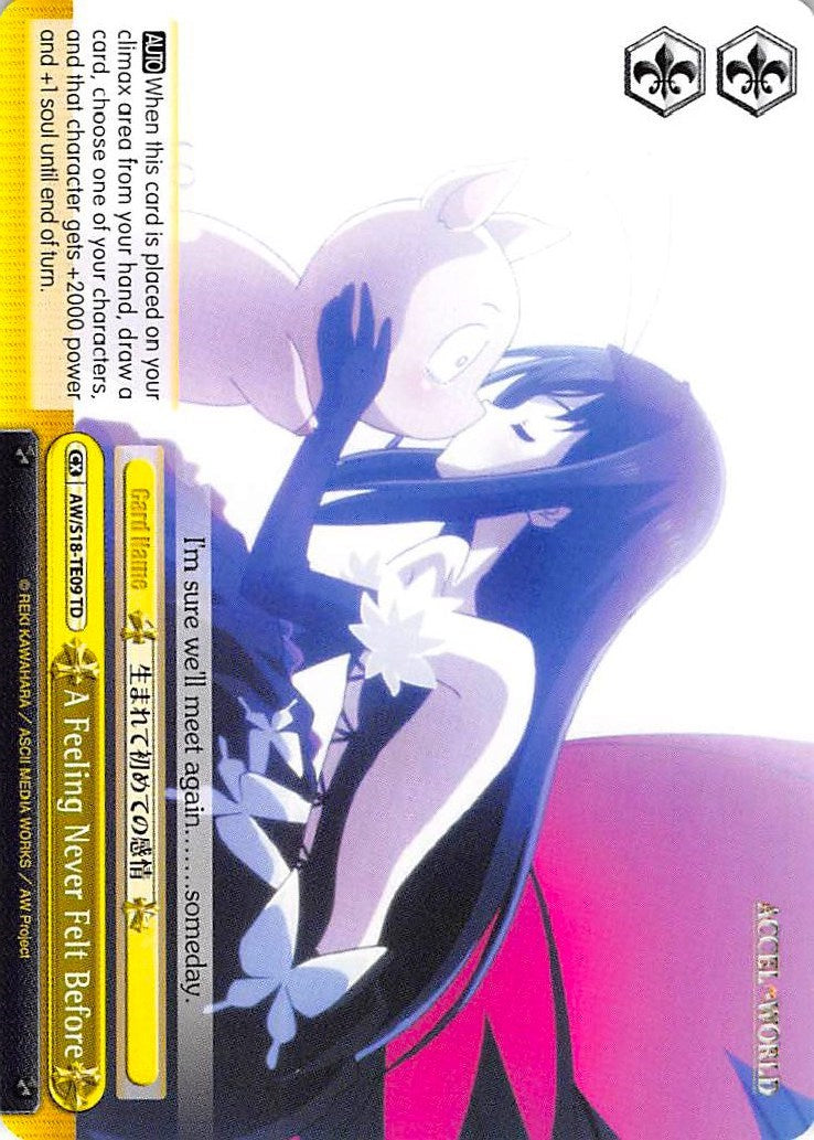 A Feeling Never Felt Before (AW/S18-TE09 TD) [Accel World]