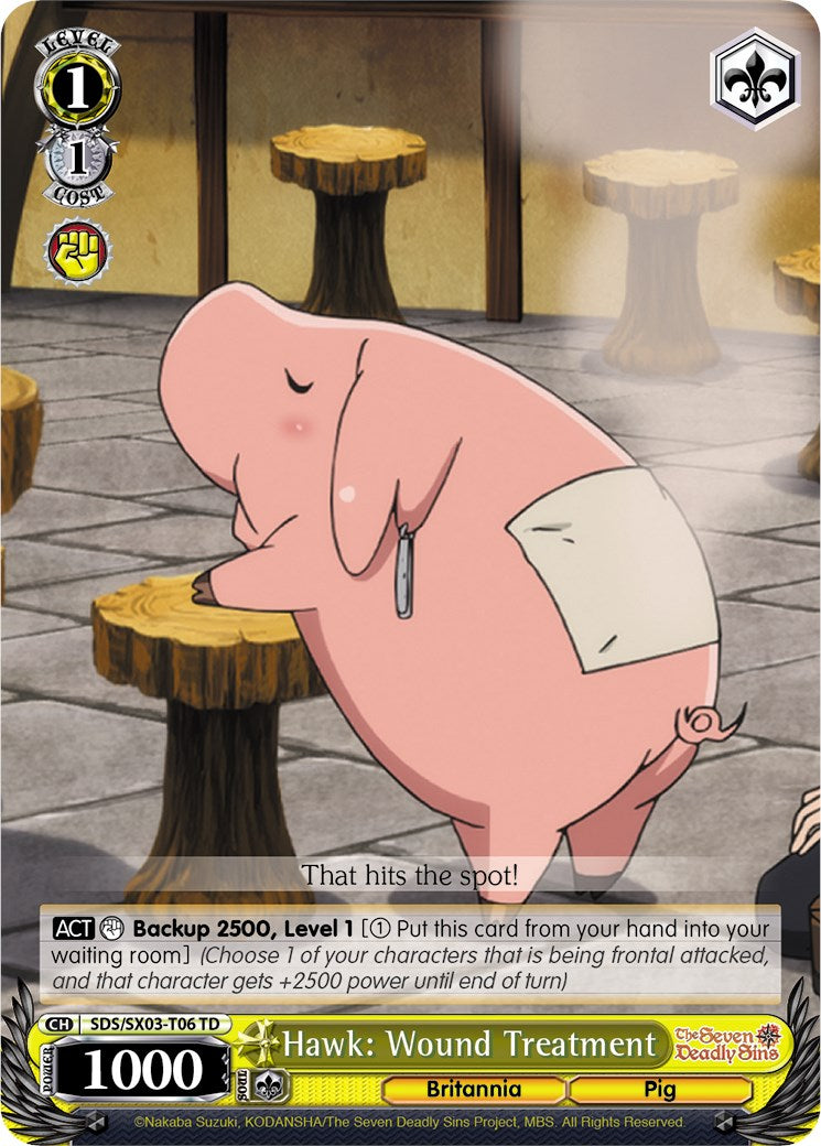 Hawk: Wound Treatment (SDS/SX03-T06 TD) - The Seven Deadly Sins