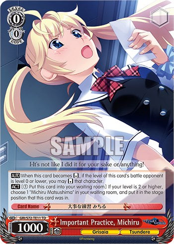 Important Practice, Michiru (GRI/S72-TE11 TD) - The Fruit of Grisaia