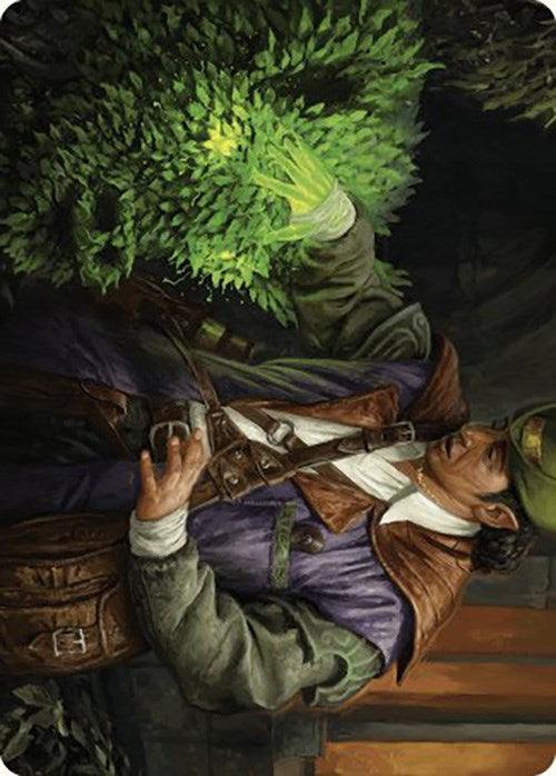 Hedge Whisperer Art Card [Murders at Karlov Manor Art Series] - Josh's Cards