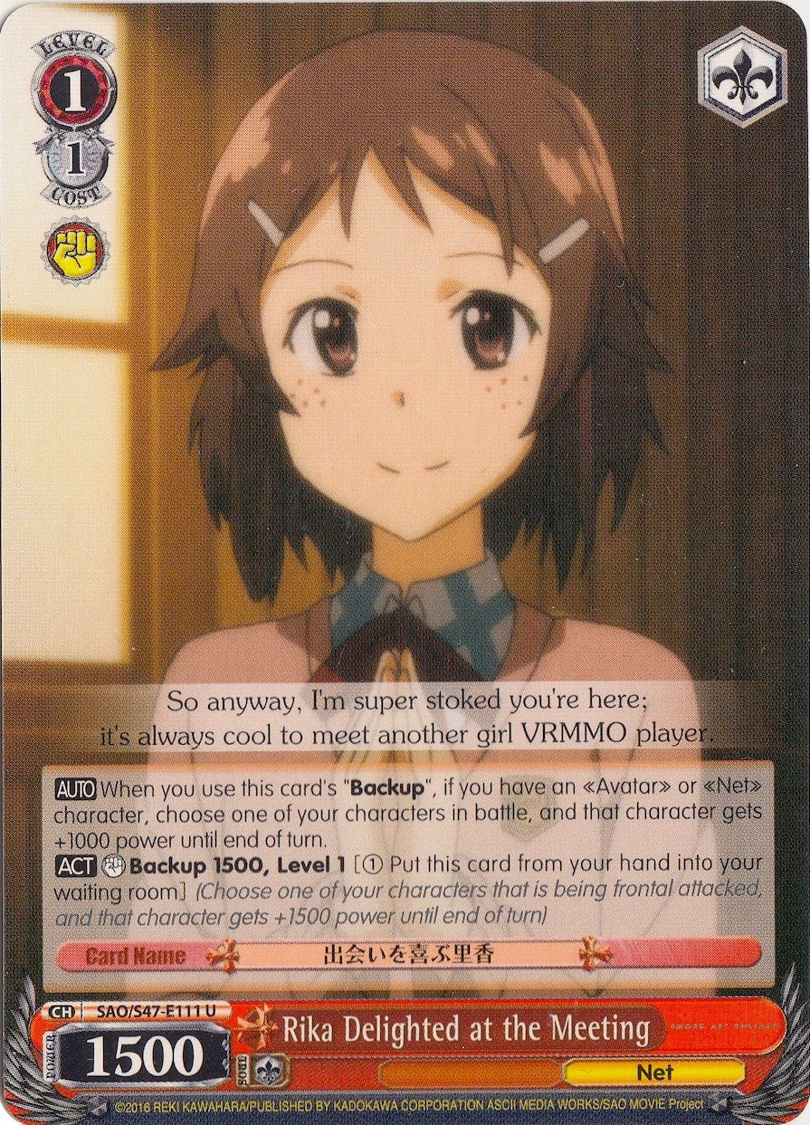 Rika Delighted at the Meeting (SAO/S47-E111 U) - Sword Art Online Re: Edit