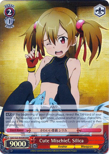 Cute Mischief, Silica (RRR) (SAO/S20-E059R RRR) - Sword Art Online