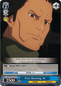 First Meeting, M (GGO/S59-TE17 TD) - Gun Gale Online