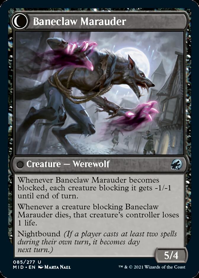 Baneblade Scoundrel // Baneclaw Marauder (MID-085) - Innistrad: Midnight Hunt: (Double Faced Transform)