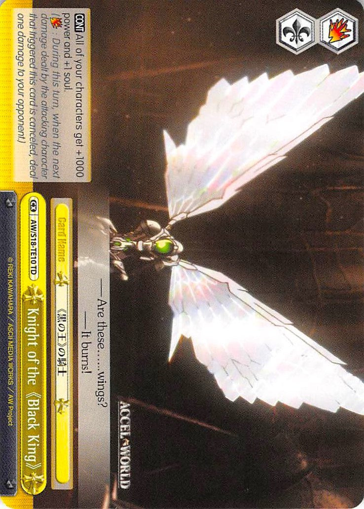Knight of the "Black King" (AW/S18-TE10 TD) - Accel World