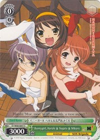 Bunnygirl, Haruhi & Nagato & Mikuru (SY/W08-E041 C) - The Melancholy of Haruhi Suzumiya