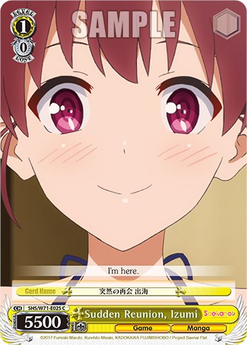 Sudden Reunion, Izumi (SHS/W71-E025 C) - Saekano How to Raise a Boring Girlfriend. flat