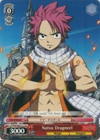 Natsu Dragneel (FT/EN-S02-T11 TD) - Fairy Tail ver.E