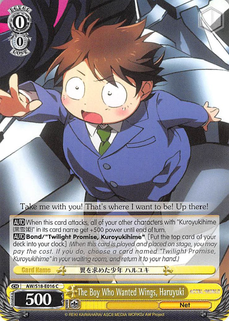 The Boy Who Wanted Wings, Haruyuki (AW/S18-E016 C) - Accel World