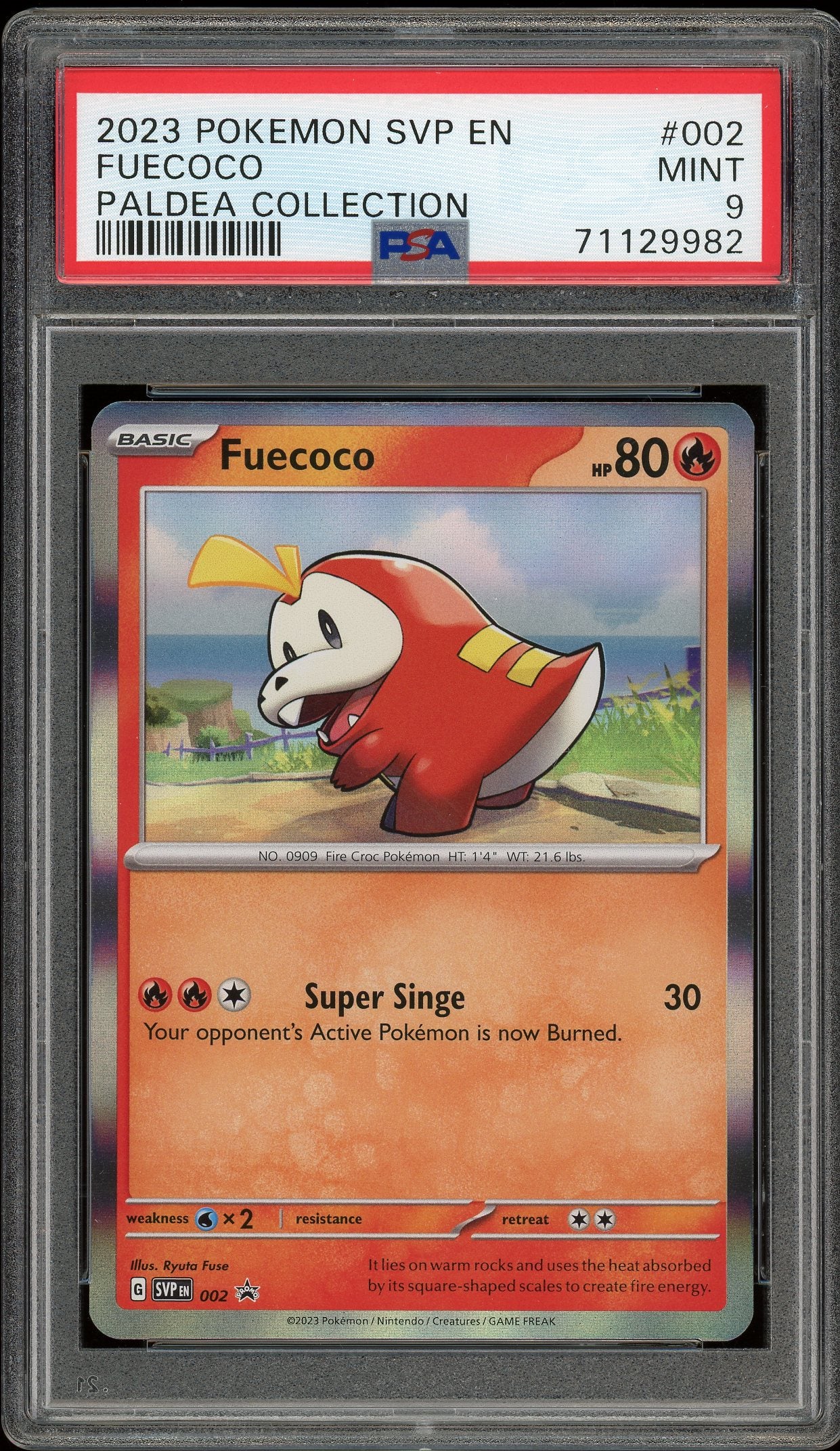 Pokemon: Fuecoco Promo 002 PSA 9